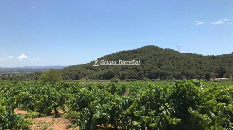 Tarragona - Albinyana - 190000m2