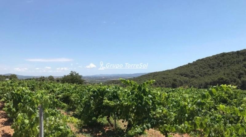 Tarragona - Albinyana - 190000m2