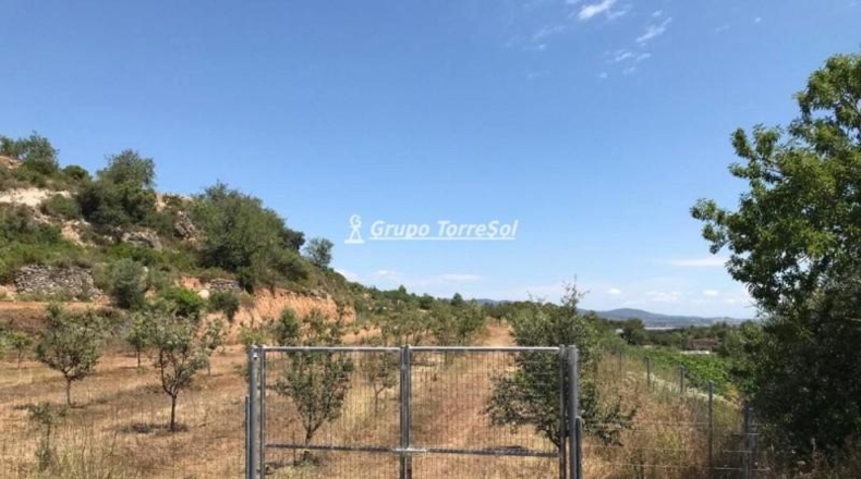 Tarragona - Albinyana - 190000m2