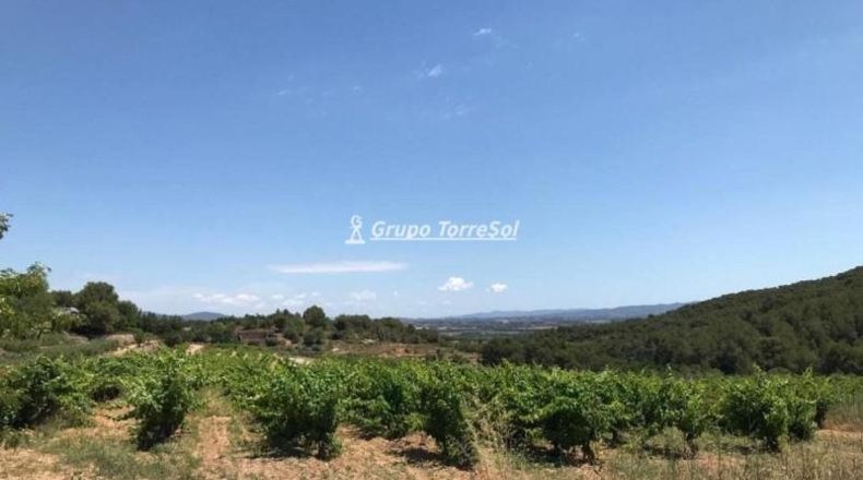 Tarragona - Albinyana - 190000m2