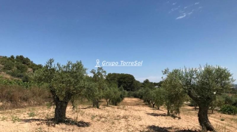 Tarragona - Albinyana - 190000m2