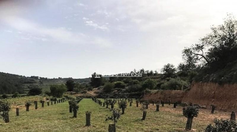 Tarragona - Albinyana - 190000m2
