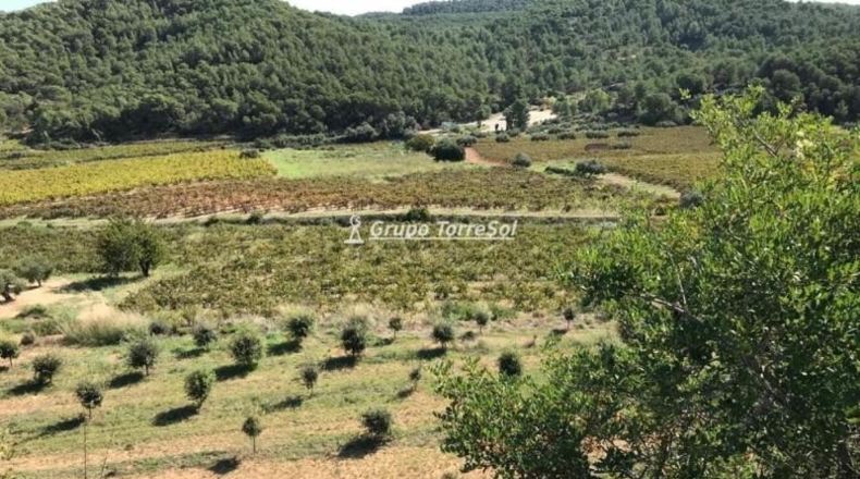 Tarragona - Albinyana - 190000m2