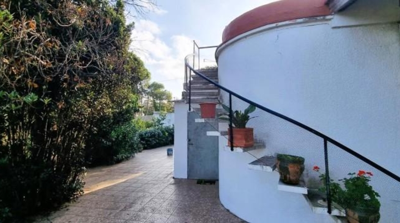 Valencia - Alcira - 2830m2