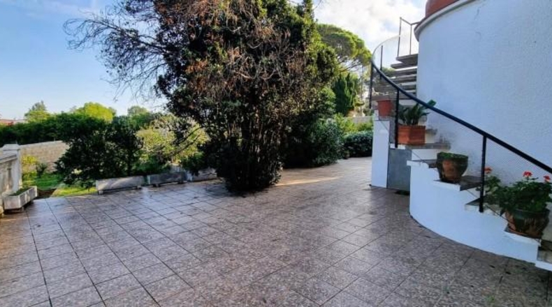 Valencia - Alcira - 2830m2