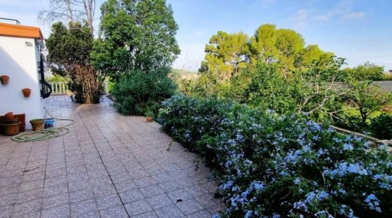 Valencia - Alcira - 2830m2