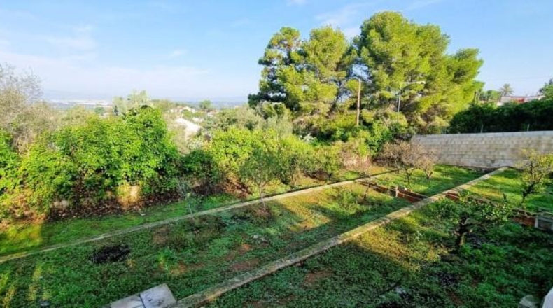Valencia - Alcira - 2830m2