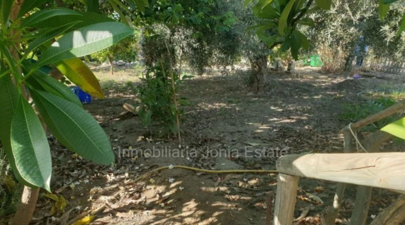 Alicante - Villajoyosa - 1078m2