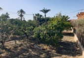 Xalet independent amb terreny en venda a la España, la Vila Joiosa, ref.: TR372385 foto