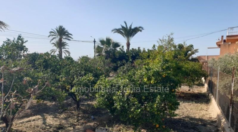 Alicante - Villajoyosa - 1078m2
