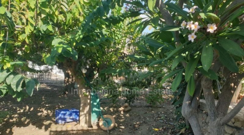 Alicante - Villajoyosa - 1078m2