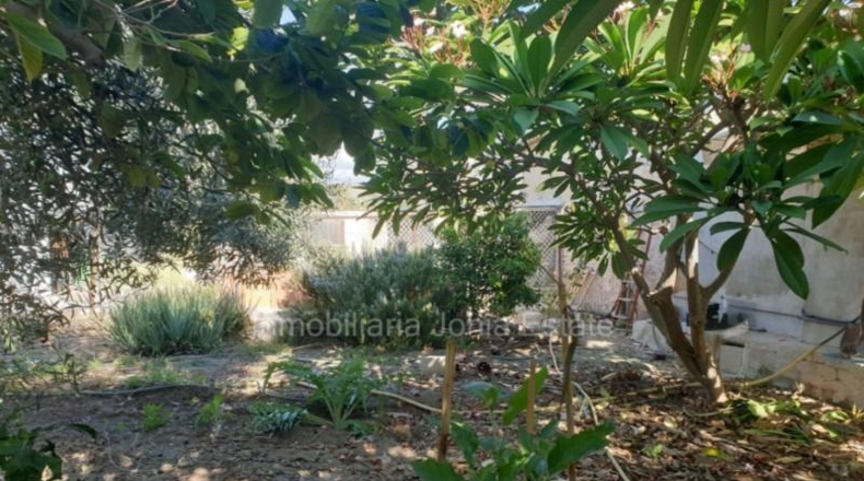 Alicante - Villajoyosa - 1078m2