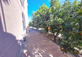 Chalet independiente con terreno en venta en la España, Elche, ref: TR374134 foto