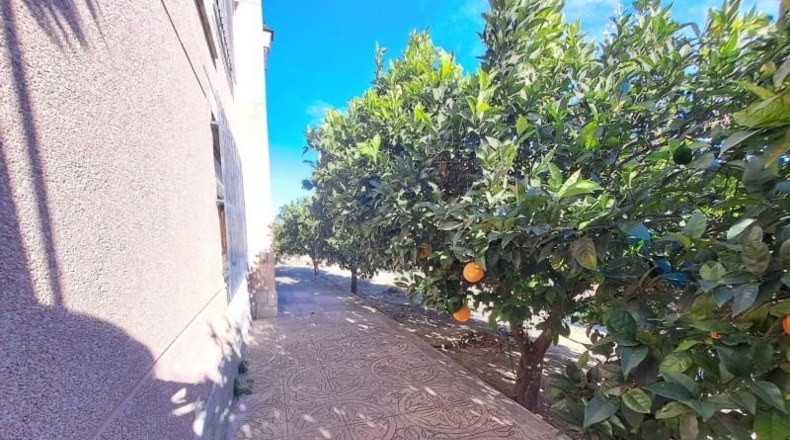 Alicante - Elche - 732m2