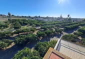 Chalet independiente con terreno en venta en la España, Elche, ref: TR374134 foto