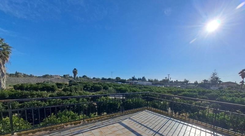 Alicante - Elche - 732m2
