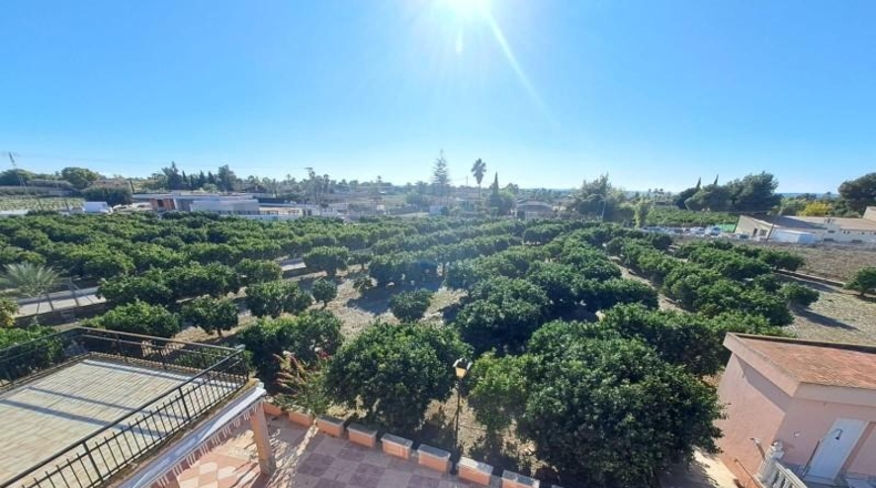 Alicante - Elche - 732m2