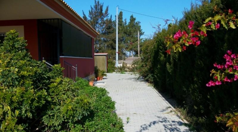 Murcia - Murcia - 3000m2