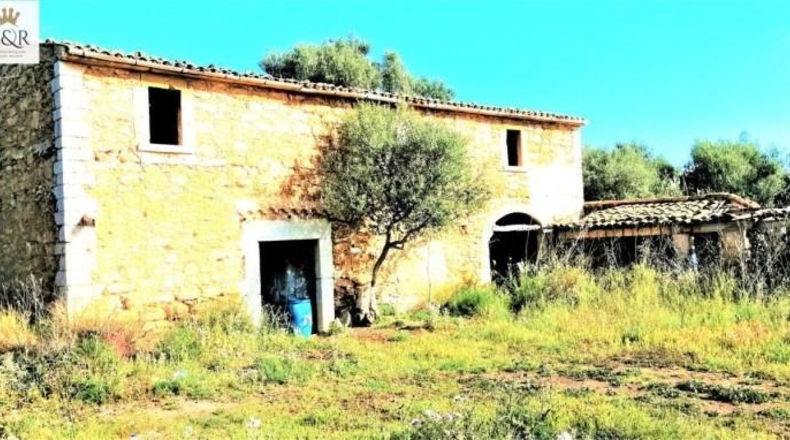 Islas Baleares - Binissalem - 44000m2