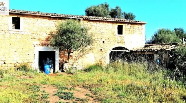 Islas Baleares - Binissalem - 44000m2