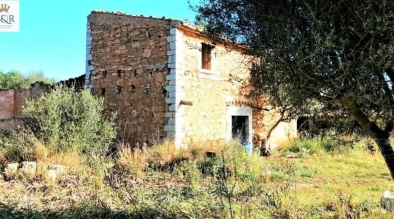 Islas Baleares - Binissalem - 44000m2