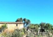 Chalet independiente con terreno en venta en la España, Binissalem, ref: TR136197 foto