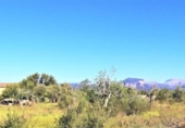 Chalet independiente con terreno en venta en la España, Binissalem, ref: TR136197 foto