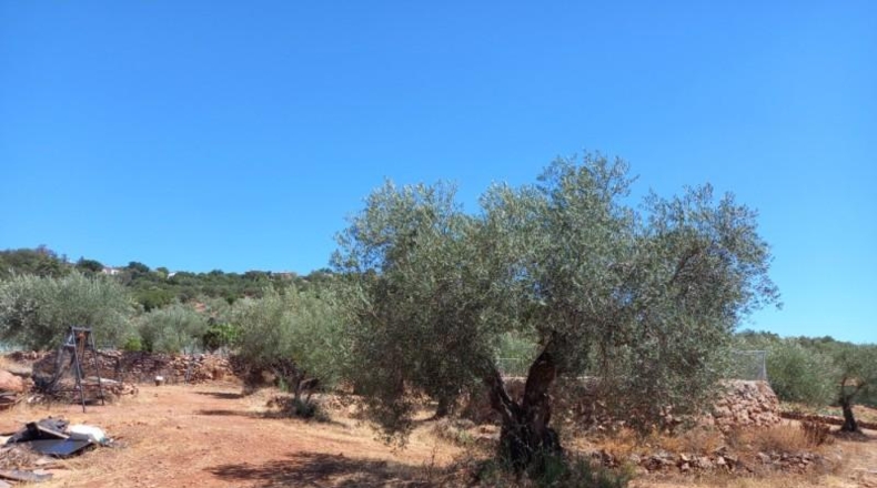 Cáceres - Cáceres - 106000m2