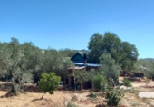 Land with storage building for sale on España, Cáceres, ref: TR296537 photo