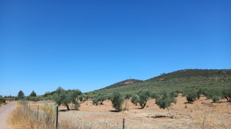 Cáceres - Cáceres - 106000m2