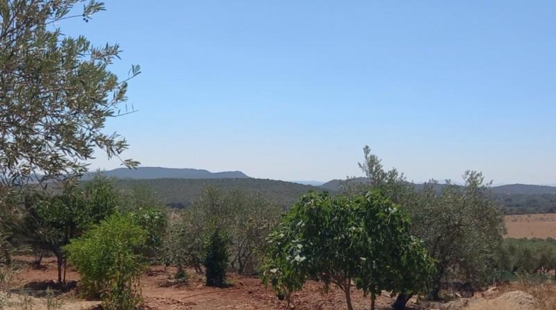 Cáceres - Cáceres - 106000m2