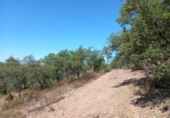 Land with storage building for sale on España, Cáceres, ref: TR296537 photo