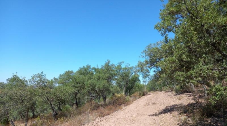 Cáceres - Cáceres - 106000m2
