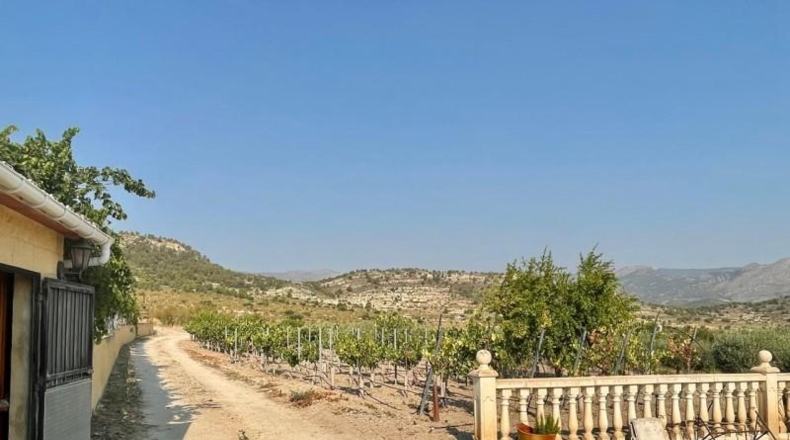 Alicante - Relleu - 14800m2