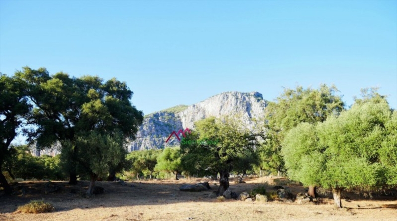 Cádiz - Ubrique - 150000m2