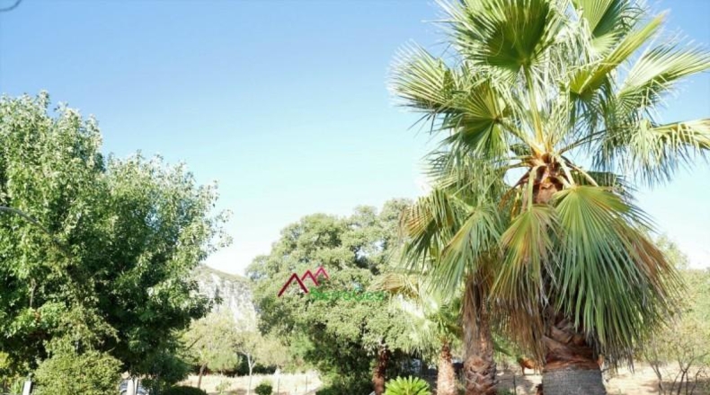 Cádiz - Ubrique - 150000m2