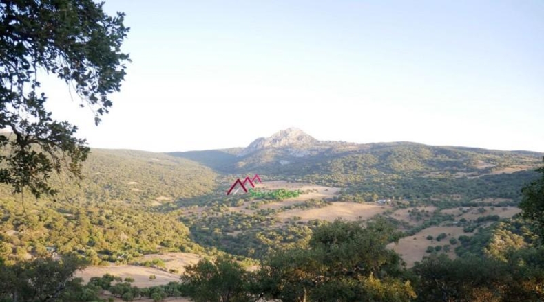 Cádiz - Ubrique - 150000m2