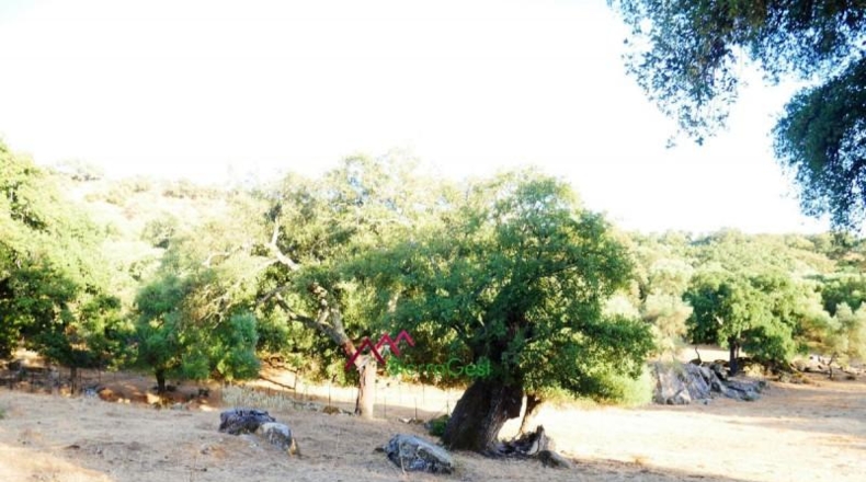 Cádiz - Ubrique - 150000m2