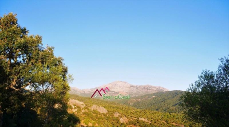 Cádiz - Ubrique - 150000m2