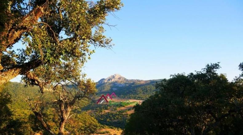 Cádiz - Ubrique - 150000m2