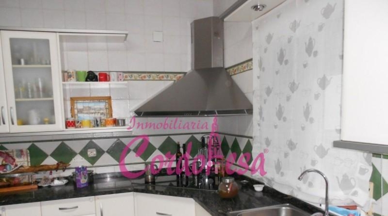 Córdoba - Córdoba - 394m2