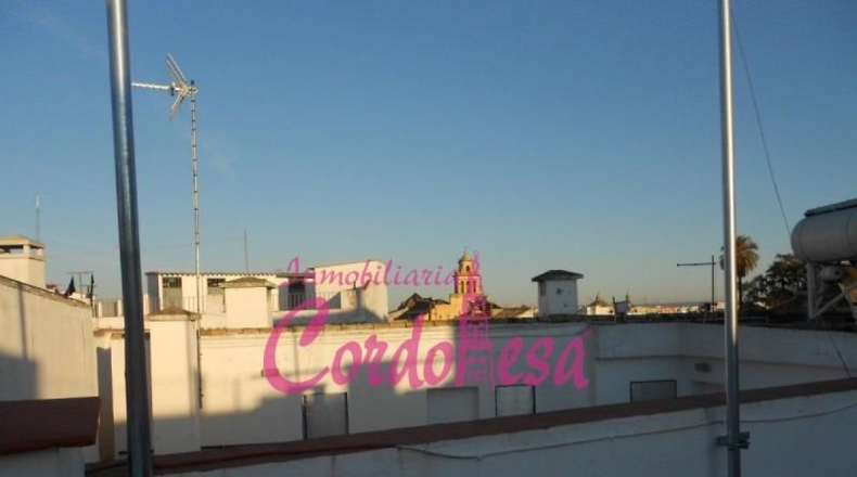 Córdoba - Córdoba - 394m2