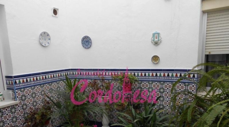 Córdoba - Córdoba - 394m2
