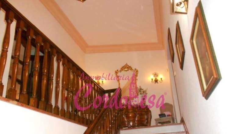 Córdoba - Córdoba - 394m2