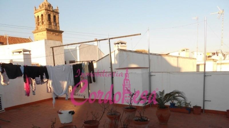 Córdoba - Córdoba - 394m2