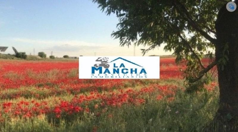 Albacete - Albacete - 50000m2