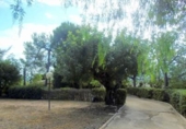 Xalet independent amb terreny en venda a la España, la Llosa de Ranes, ref.: TR145916 foto
