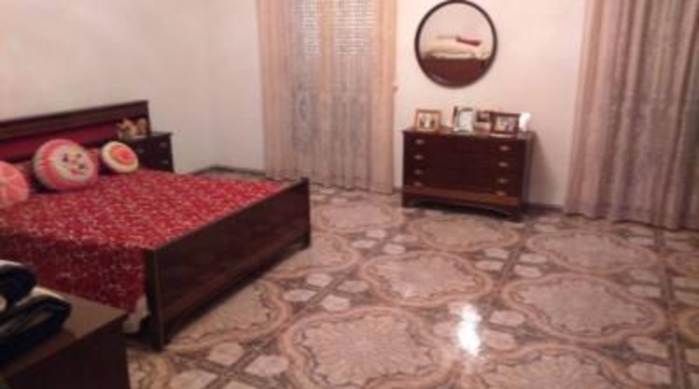 Alicante - Novelda - 600m2