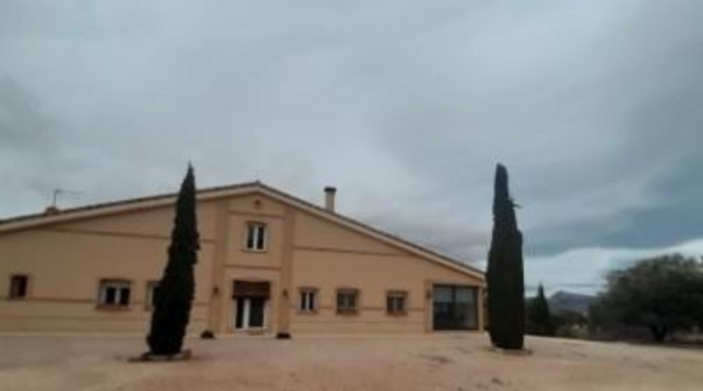 Alicante - Monóvar - 11000m2