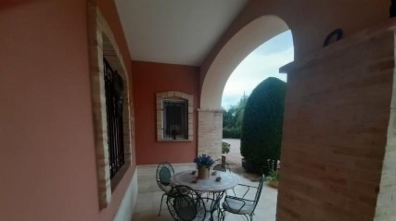 Alicante - Monóvar - 11000m2